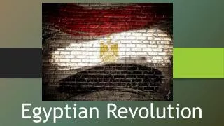 Egyptian Revolution