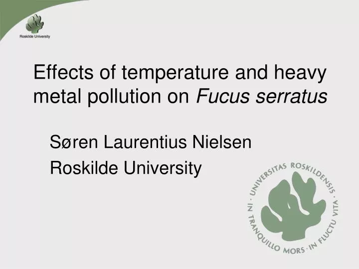 effects of temperature and heavy metal pollution on fucus serratus