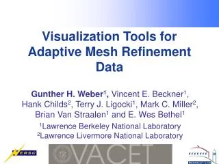 Visualization Tools for Adaptive Mesh Refinement Data