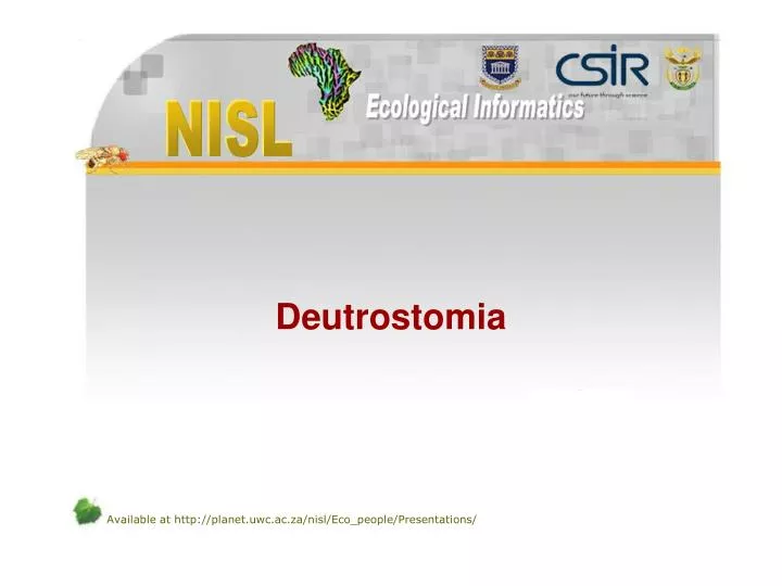 deutrostomia