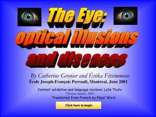 The Eye: optical illusions and diseases