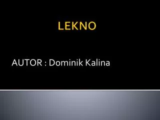 autor dominik kalina