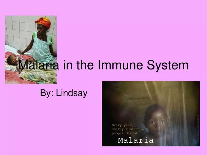 malaria in the immune system