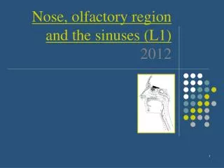 Nose, olfactory region and the sinuses (L1) 2012