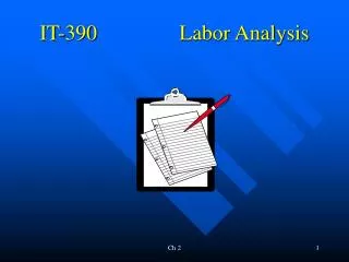 IT-390			Labor Analysis