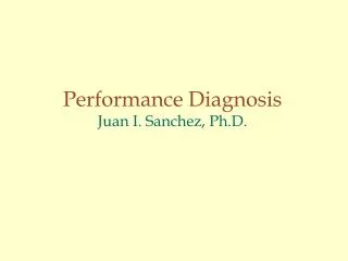 Performance Diagnosis Juan I. Sanchez, Ph.D.