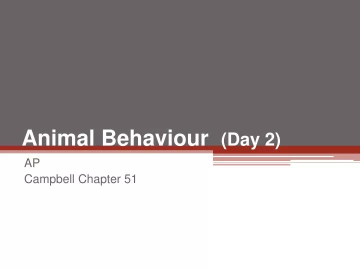 animal behaviour day 2