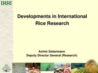 Developments in International Rice Research