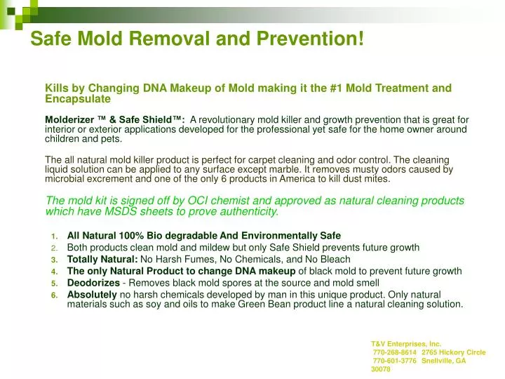 safe mold removal and prevention