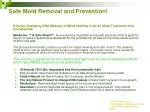 Safe Mold Removal and Prevention! - slide 1