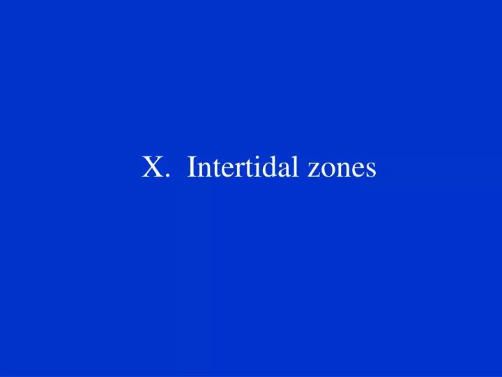 x intertidal zones
