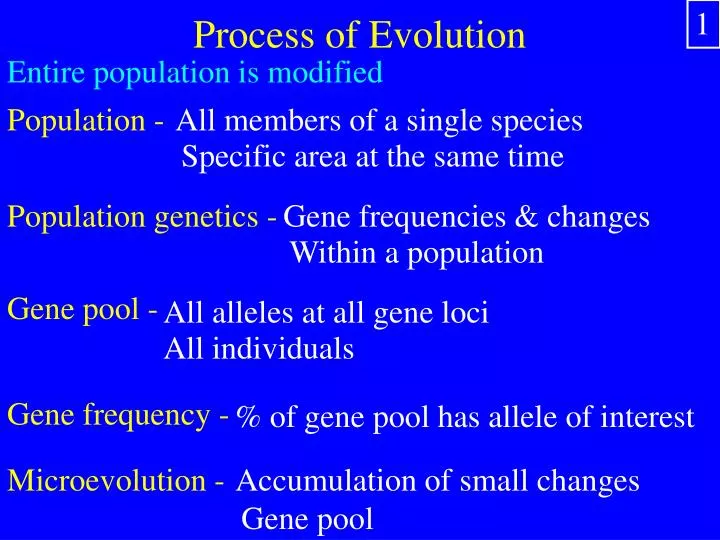 process of evolution