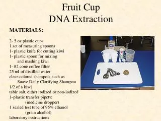 Fruit Cup DNA Extraction