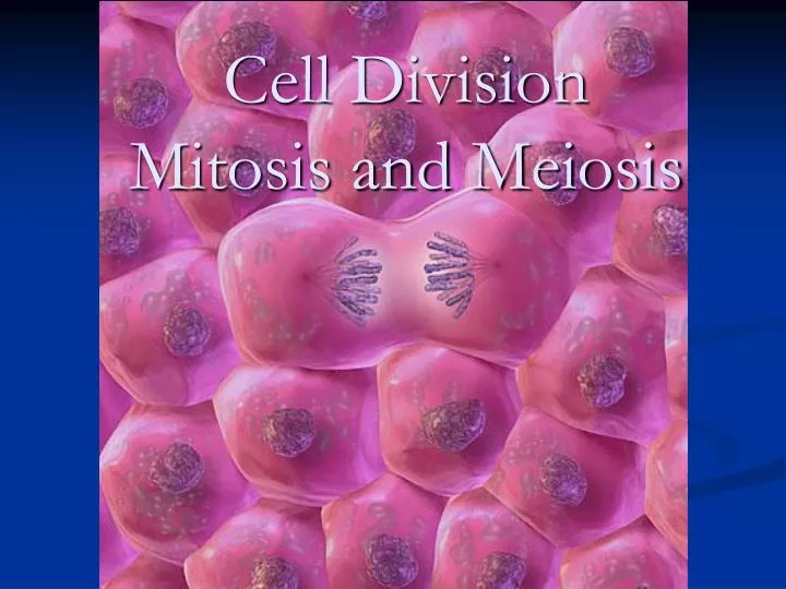 cell division mitosis and meiosis