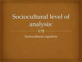 sociocultural level of analysis