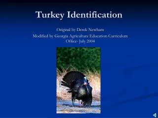 Turkey Identification