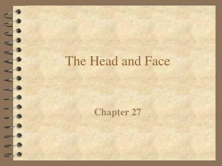 the head and face