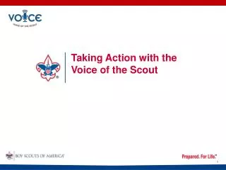 Taking Action with the Voice of the Scout