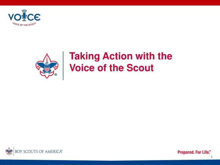 taking action with the voice of the scout