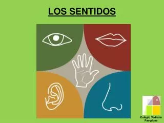 los sentidos