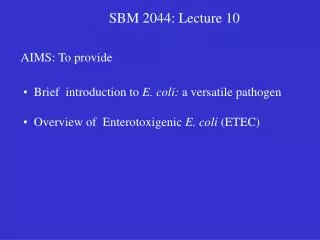 SBM 2044: Lecture 10