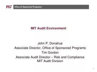 MIT Audit Environment
