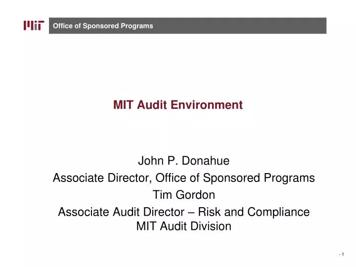 mit audit environment