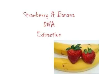 Strawberry &amp; Banana DNA Extraction