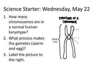 Science Starter: Wednesday, May 22
