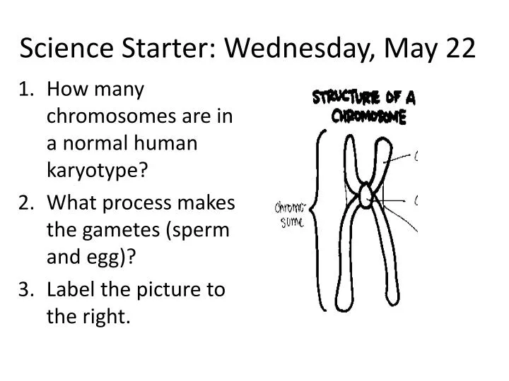 science starter wednesday may 22