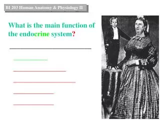 What is the main function of the endo crine system ?