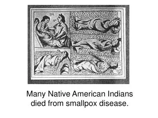 Many Native American Indians died from smallpox disease.