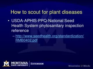 How to scout for plant diseases