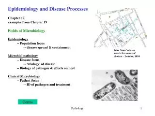 Epidemiology and Disease Processes Chapter 17, examples from Chapter 19 Fields of Microbiology