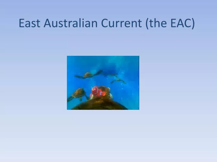 east australian current the eac