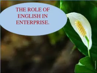 THE ROLE OF ENGLISH IN ENTERPRISE .