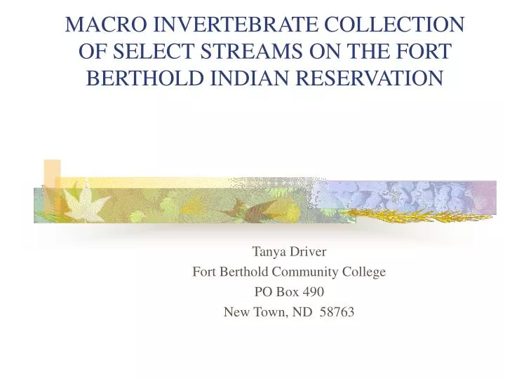 macro invertebrate collection of select streams on the fort berthold indian reservation