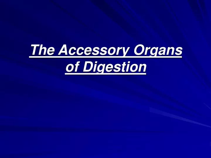 the accessory organs of digestion
