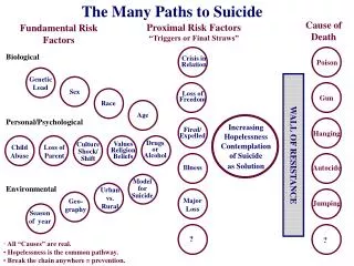 The Many Paths to Suicide
