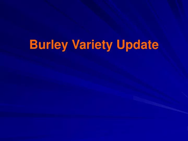 burley variety update