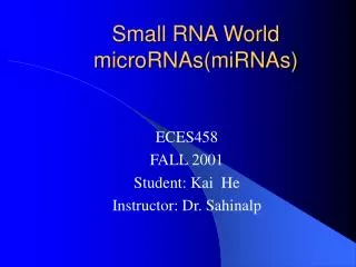 Small RNA World microRNAs(miRNAs)