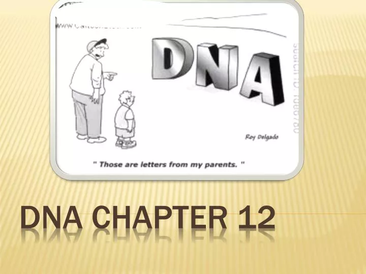 dna chapter 12