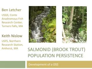 Salmonid (Brook trout) population persistence