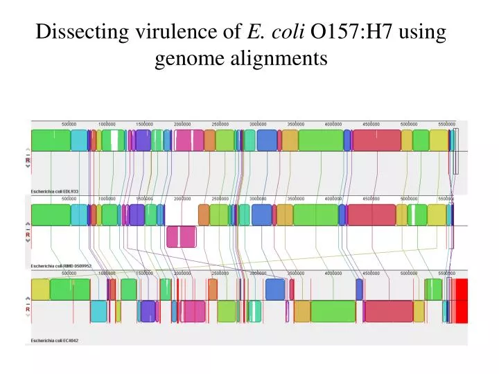 dissecting virulence of e coli o157 h7 using genome alignments