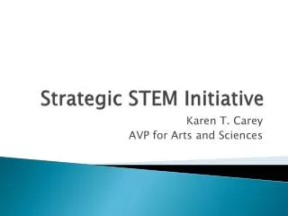 Strategic STEM Initiative