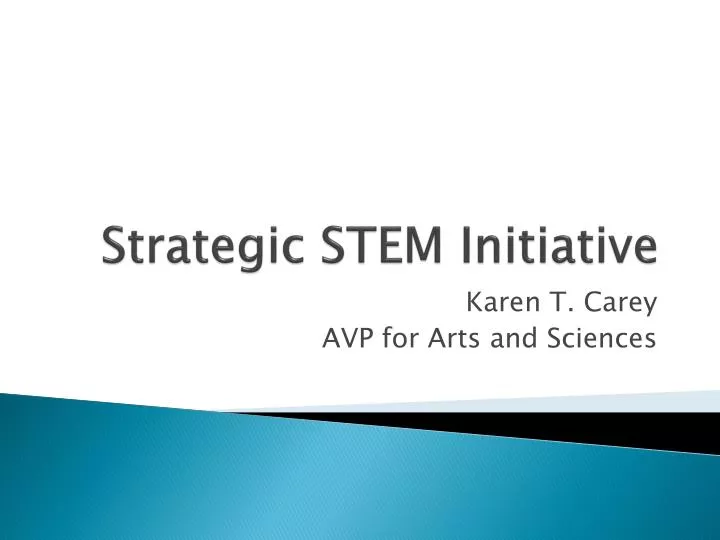 strategic stem initiative
