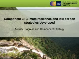Component 3: Climate resilience and low carbon strategies developed