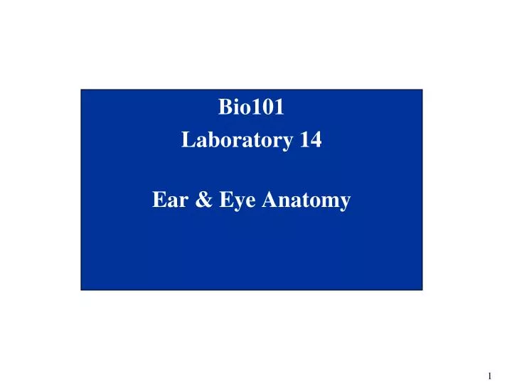 bio101 laboratory 14 ear eye anatomy