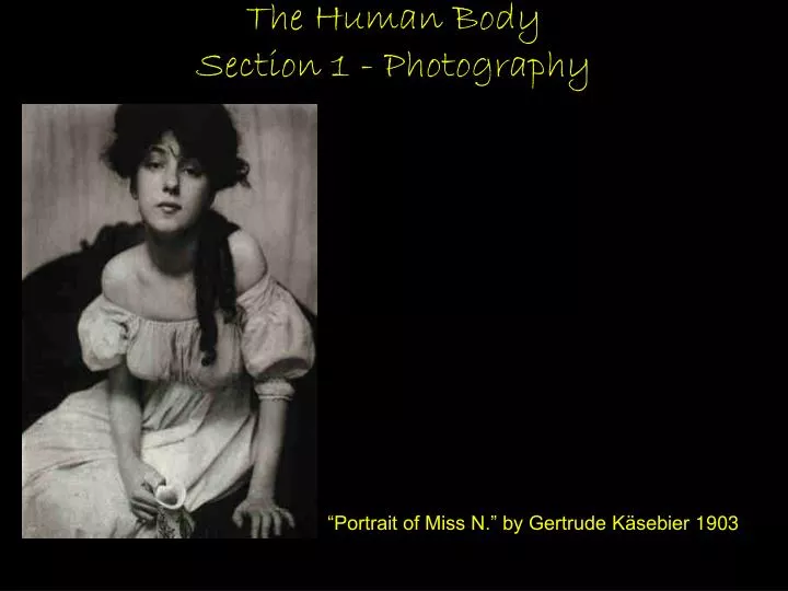 the human body section 1 photography