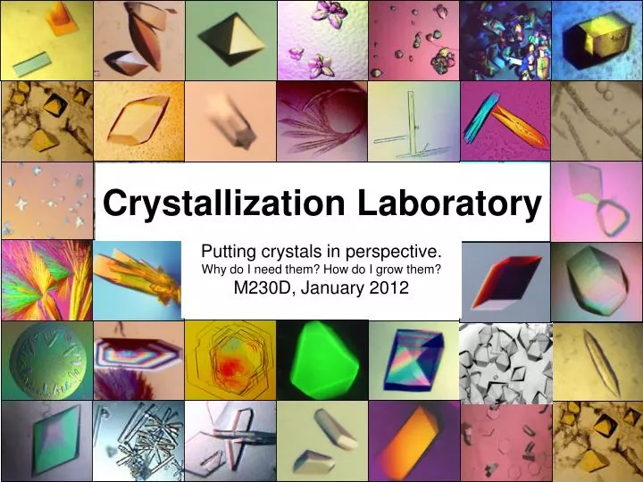 crystallization laboratory